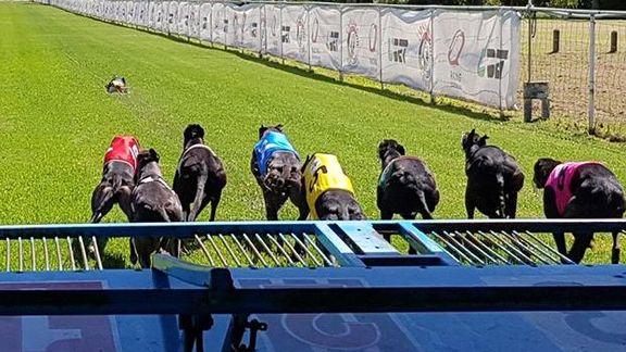 Preferencial Box Draws